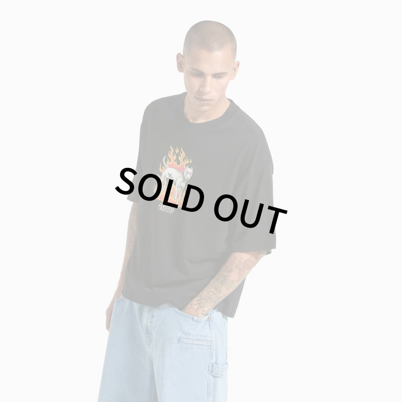 画像6: BRIXTON | WILSHRE S/S BOXED CROP  (6)