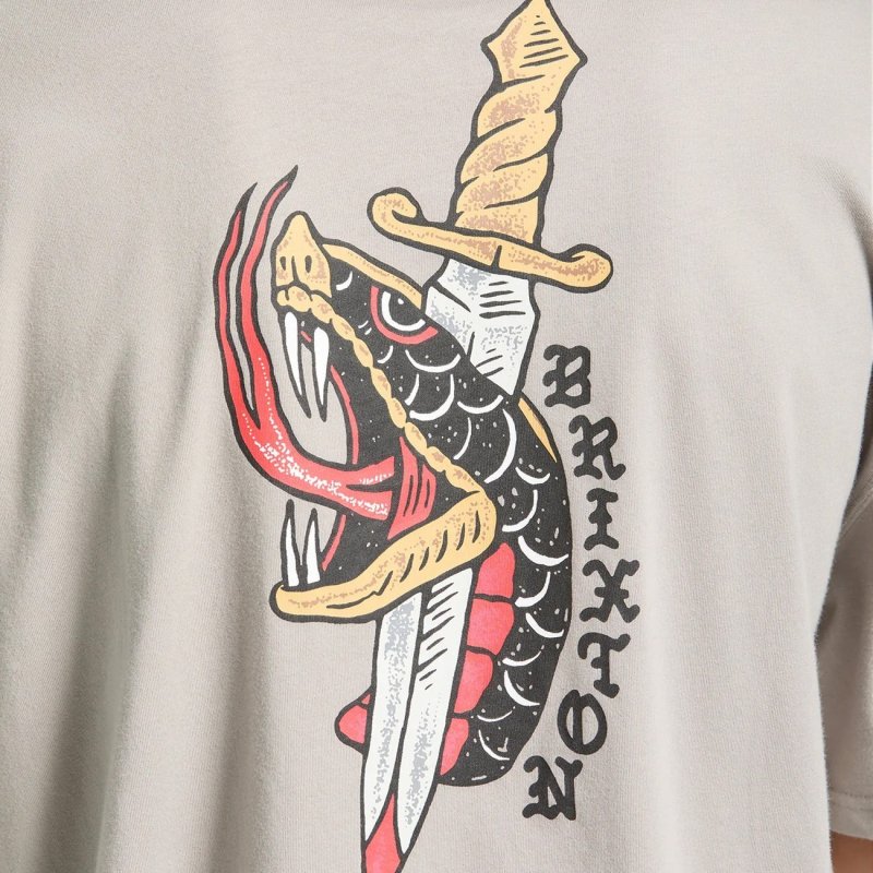 画像6: BRIXTON | SWORD S/S BOXED CROP  (6)
