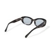 画像4: EVILACT eyewear | “SPIRAL” カラー調光  (4)