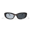 画像1: EVILACT eyewear | “SPIRAL” カラー調光  (1)