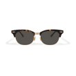画像1: EVILACT eyewear | “ORIENT”  (1)