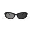 画像1: EVILACT eyewear | “SPIRAL” カラー調光  (1)