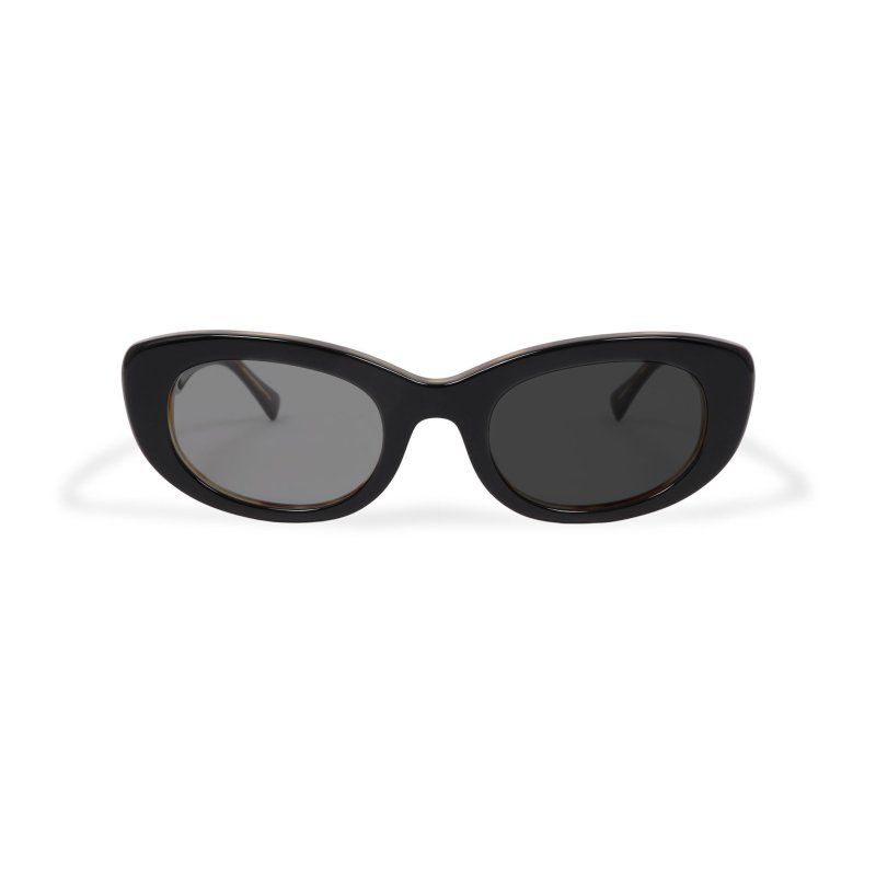 画像1: EVILACT eyewear | “SPIRAL” カラー調光  (1)