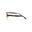 画像4: EVILACT eyewear | “ORIENT”  (4)