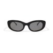 画像2: EVILACT eyewear | “SPIRAL” カラー調光  (2)