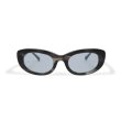 画像2: EVILACT eyewear | “SPIRAL” カラー調光  (2)