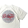 画像3: DAZZLESUGAR | -D sugar S/S TEE-  (3)