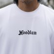 画像3: Hoodlum | DRY MESH JERSEY -SUCKER-  (3)