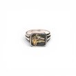 画像1: RAOING | K18×SV925 Classic Horse Ring  (1)