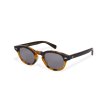 画像2: EVILACT eyewear | “ACE BR”   (2)