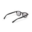 画像3: EVILACT eyewear | “ACE BR”  カラー調光  (3)
