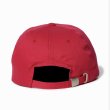 画像2: ROUGH AND RAGGED | TRUCKER CAP  (2)