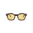 画像1: EVILACT eyewear | “EVANS”   (1)