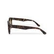 画像2: EVILACT eyewear | “EVANS”   (2)