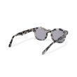 画像4: EVILACT eyewear | “EVANS”   (4)