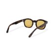 画像4: EVILACT eyewear | “EVANS”   (4)