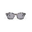 画像1: EVILACT eyewear | “EVANS”   (1)