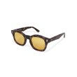 画像3: EVILACT eyewear | “EVANS”   (3)