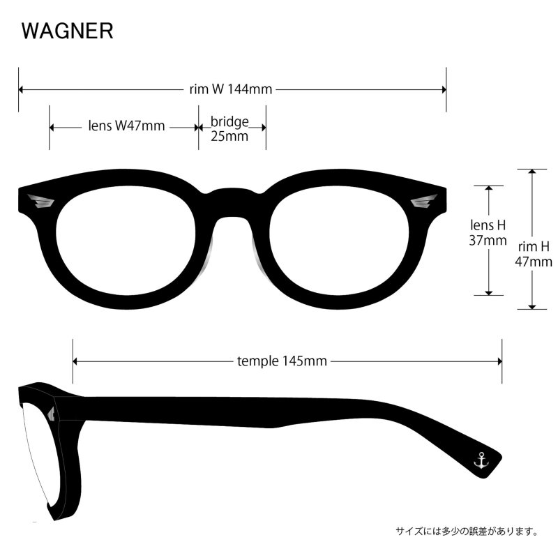 画像1: EVILACT eyewear | “WAGNER” カラー調光