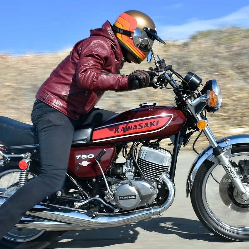 画像8: TT&CO. | TOECUTTER -70's- ヘルメット [SG/DOT]  (8)