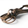 画像5: RAOING | Swivel Snap Key Hook  (5)