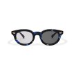 画像1: EVILACT eyewear | “WAGNER” カラー調光  (1)