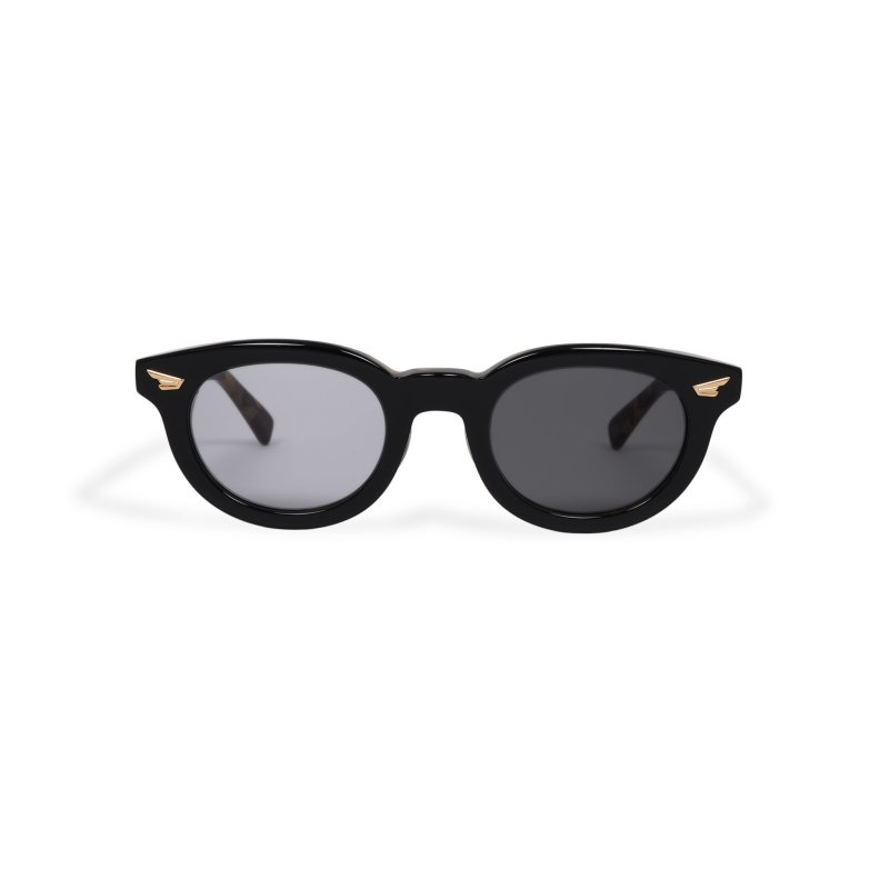 画像1: EVILACT eyewear | “WAGNER” カラー調光  (1)