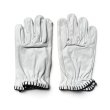 画像1: SIGNAL GLOVE | Leather Glove for summer  (1)