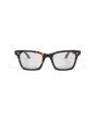 画像2: EVILACT eyewear | “MUSTANG” カラー調光  (2)