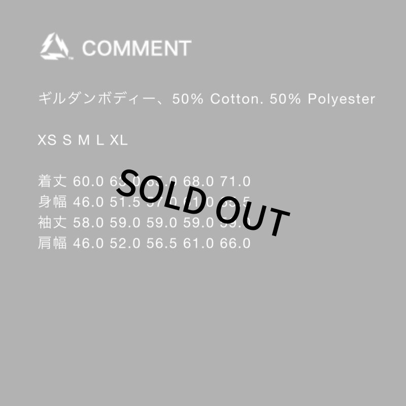 画像5: SAMS | SAMS CHOPPERS HOODIE  (5)