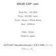 画像6: UNCROWD (アンクラウド) VALVE CAP -owl- UC-902  (6)