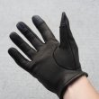 画像3: DIN MARKET (ディンマーケット) | GMG-07 DEER SKIN GLOVE ショートリスト  (3)