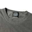画像4: DAZZLESUGAR (ダズルシュガー) | DZLSGR×WLRS S/S tee  (4)