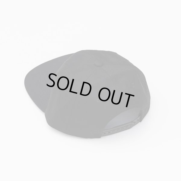 画像2: THE FEVER INC | THE FEVER INC CAP  (2)