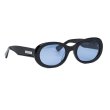 画像2: FLUTTER (フラッター) | Acetate Narrow Oval Glasses  (2)