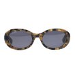 画像1: FLUTTER (フラッター) | Acetate Narrow Oval Glasses  (1)