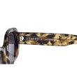 画像5: FLUTTER (フラッター) | Acetate Narrow Oval Glasses  (5)