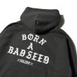 画像5: DAZZLESUGAR (ダズルシュガー) | -B.A.B Zip Hoodie-  (5)