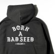 画像3: DAZZLESUGAR (ダズルシュガー) | -B.A.B Zip Hoodie-  (3)