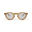 画像2: EVILACT eyewear (イーヴルアクト アイウェア) | “GREEVES” カラー調光  (2)