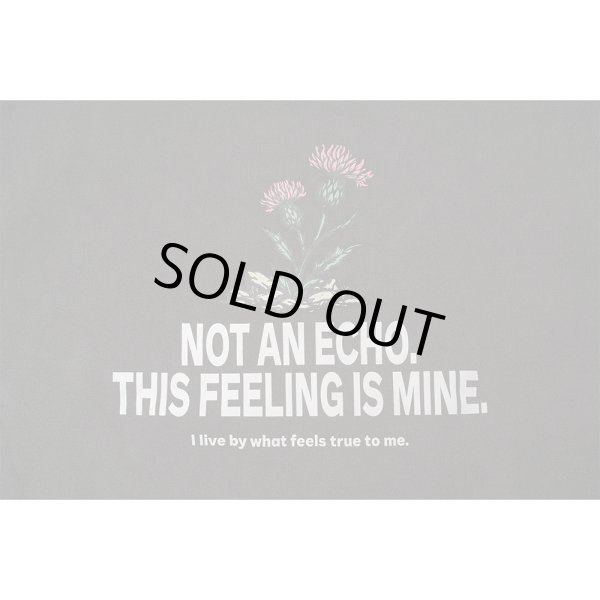 画像3: FLUTTER (フラッター) | Double Dyeing B/S Sweat  (3)