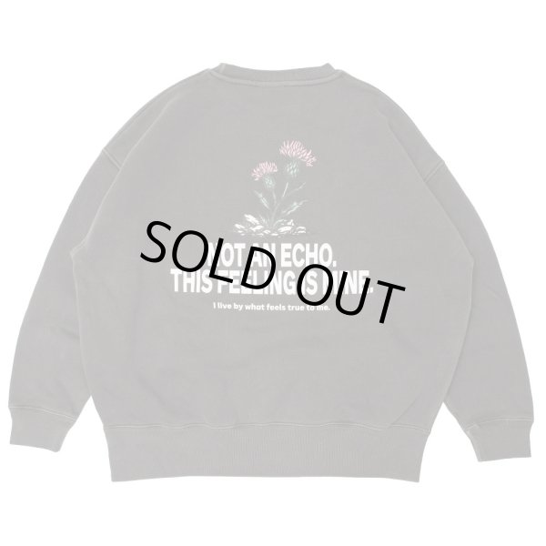 画像1: FLUTTER (フラッター) | Double Dyeing B/S Sweat  (1)