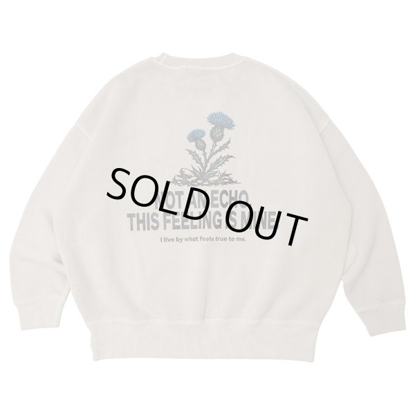 画像1: FLUTTER (フラッター) | Double Dyeing B/S Sweat  (1)