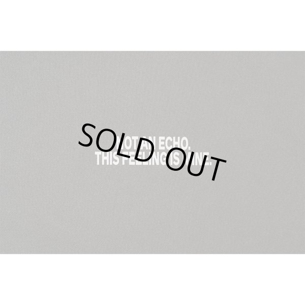 画像4: FLUTTER (フラッター) | Double Dyeing B/S Sweat  (4)