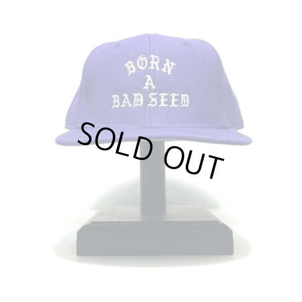 画像1: DAZZLESUGAR (ダズルシュガー) | -B.A.B Snap Back Cap-  (1)