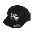 画像1: SAMS (サムズ) | CUSTOM & PAINT CAP  (1)