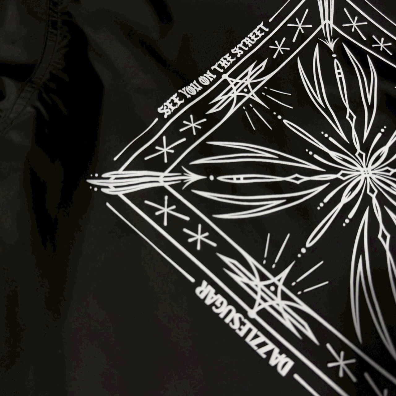 画像6: DAZZLESUGAR (ダズルシュガー) | -BANDANA Coach Jacket-  (6)